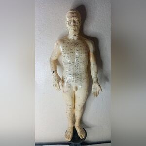 VTG 20" Acupuncture Meridian Acupoint Location Rubber Model
